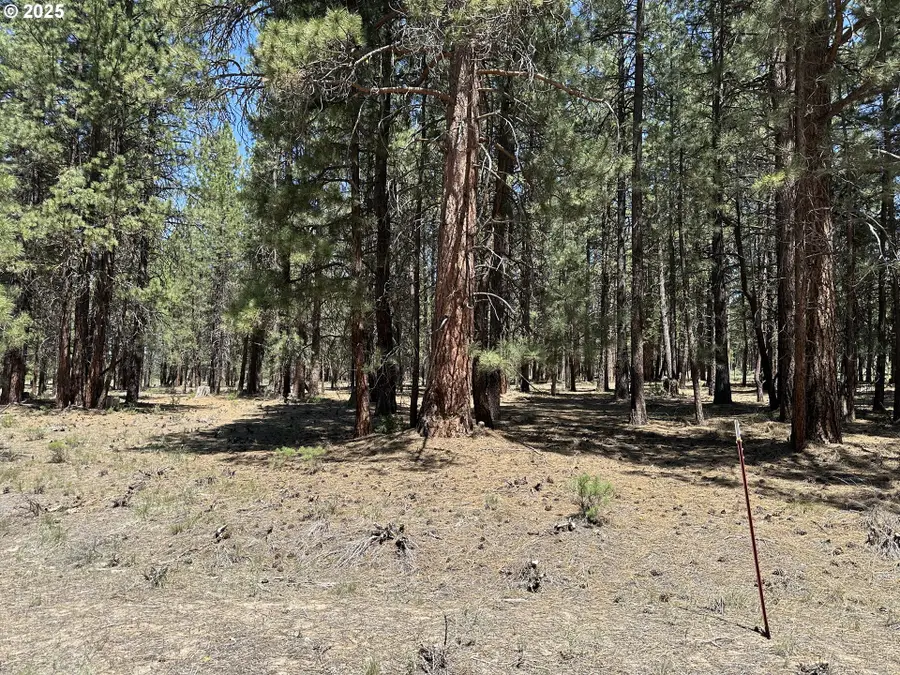 Sprague River Rd, Chiloquin, OR 97624 - Image #2