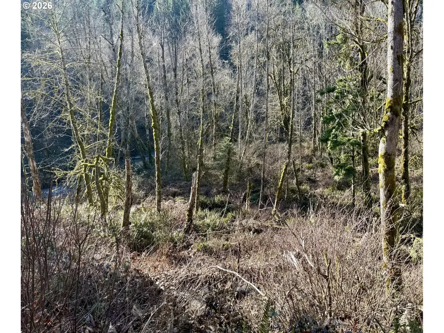 Butte Creek Crossing, Scottsmills, OR 97375 - #2