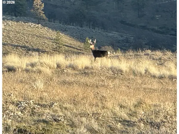 Vista Dr, Goldendale, WA 98620