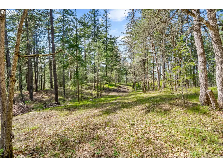 Paradise Ridge Rd, Mosier, OR 97040 - #3