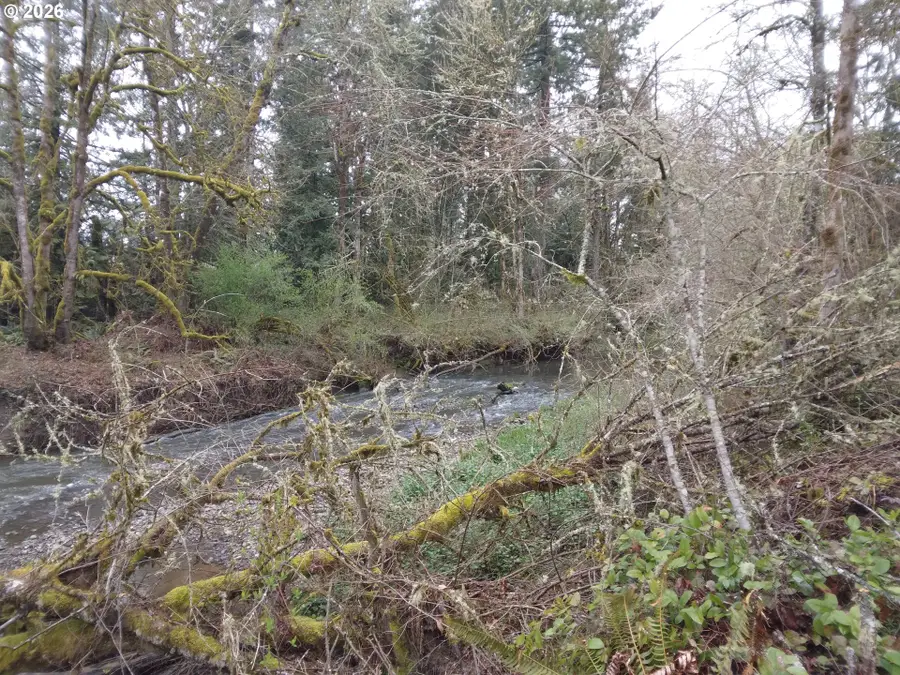 State Highway 505, Winlock, WA 98596 - #2