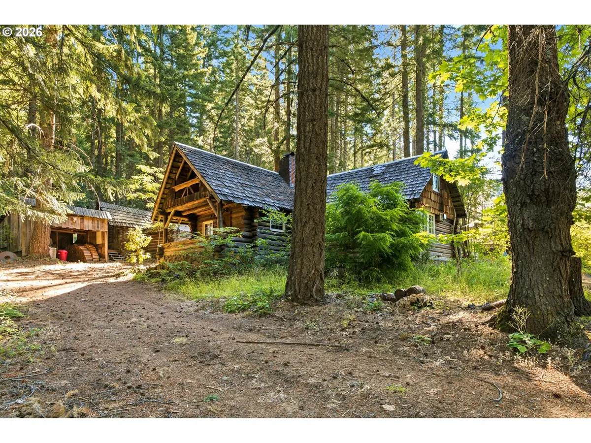 248 Jennings Rd, Trout Lake, WA 98650 - #1