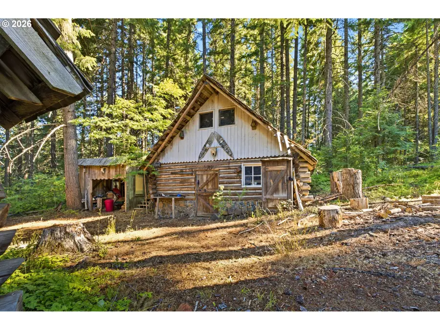 248 Jennings Rd, Trout Lake, WA 98650 - #2