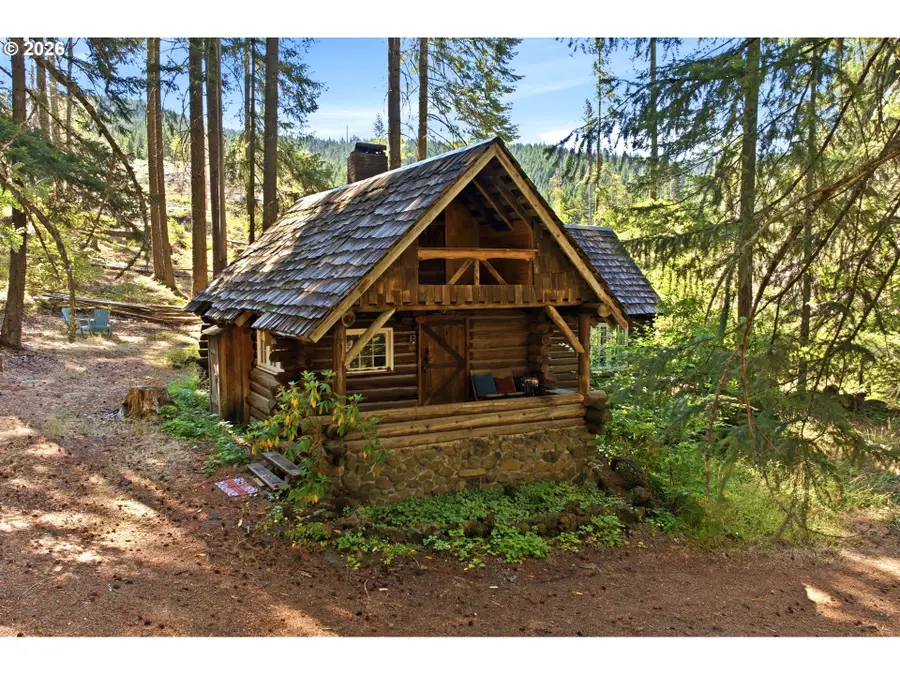 248 Jennings Rd, Trout Lake, WA 98650 - #3