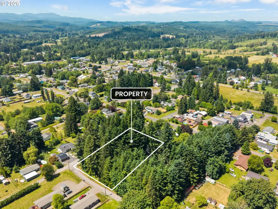 0 E St, Vader, WA 98593 - #2