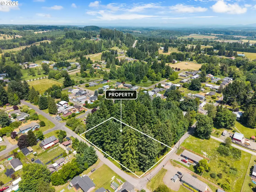 0 E St, Vader, WA 98593 - #3