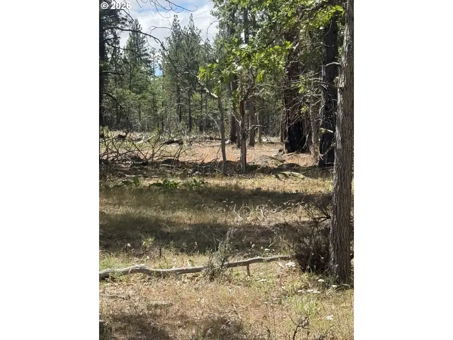 Old Stage Rd, Goldendale, WA 98620 - #3