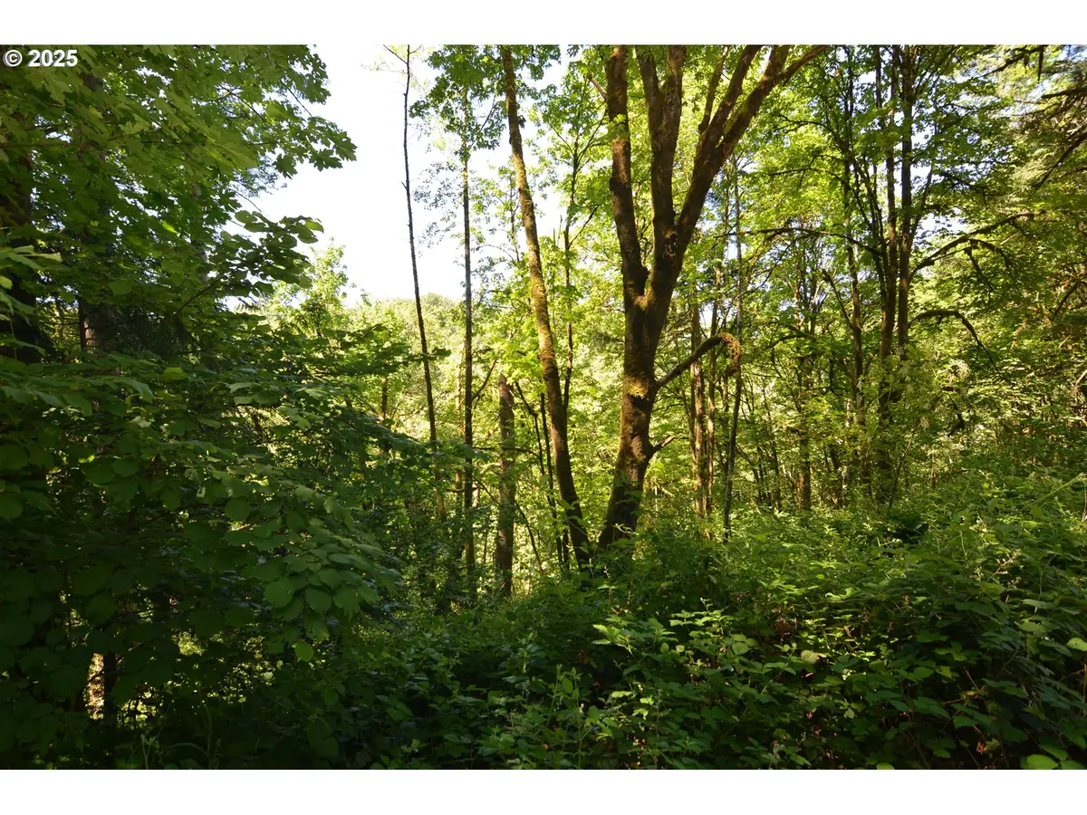 2429 Archwood Dr, Longview, WA 98632 - Image #1