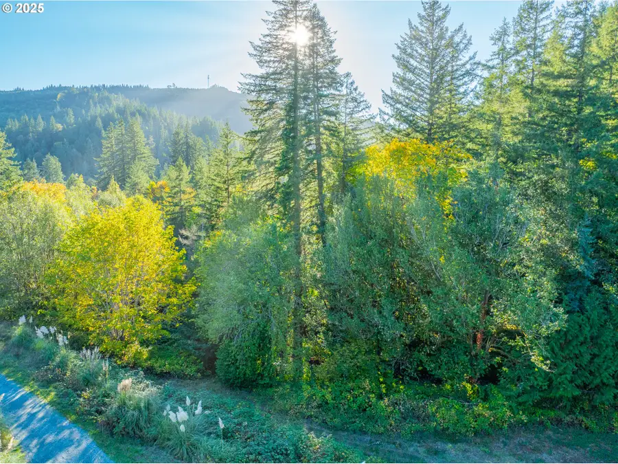 20191 Highway 42, Myrtle Point, OR 97458 - Image #3