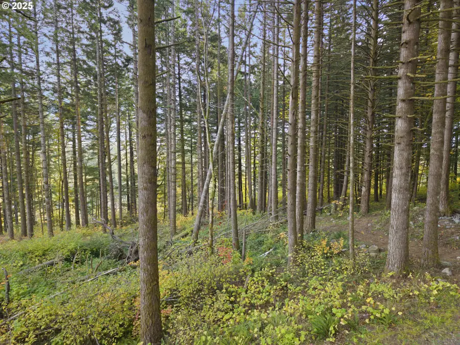 Warren Rd #4, North Bonneville, WA 98639 - Image #3