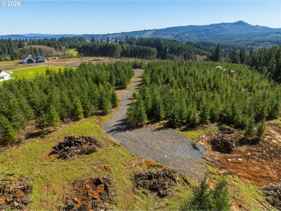 128 Brim Ridge Ln, Winlock, WA 98596 - #3