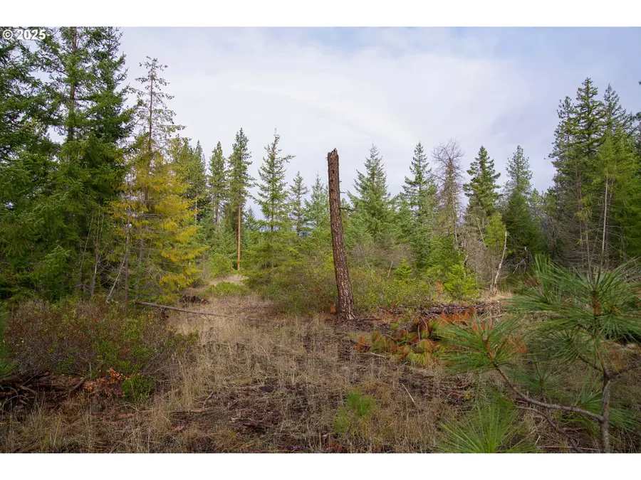 Lonesome Pines Dr #4, Trout Lake, WA 98650 - Image #2