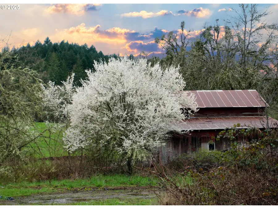 13756 Buckhorn Rd, Glide, OR 97443 - #2