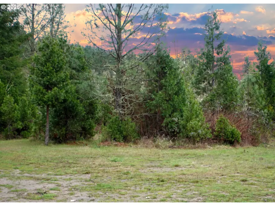 13756 Buckhorn Rd, Glide, OR 97443 - #3