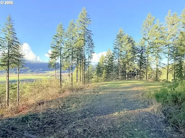 Alder Branch Rd, Springfield, OR 97478 - #1