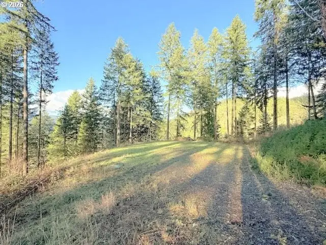 Alder Branch Rd, Springfield, OR 97478 - #2