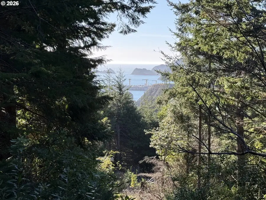 780 Quattomah Ln, Port Orford, OR 97465 - Image #2