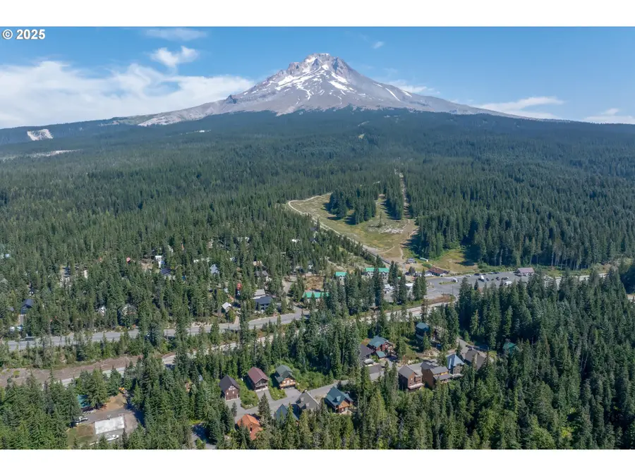 89790 E Morrison Ln, Government Camp, OR 97028 - Image #2