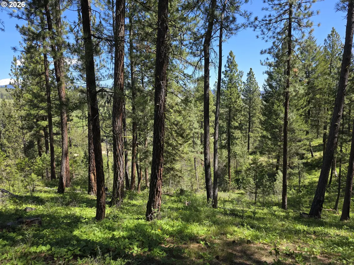 Address Withheld By Seller, Eagle Valley, OR 97814 - #1