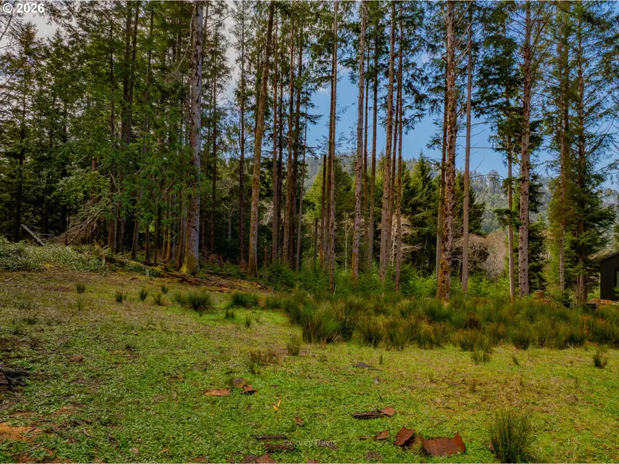 0 Wildwood Ln #2904, Arch Cape, OR 97102 - #3