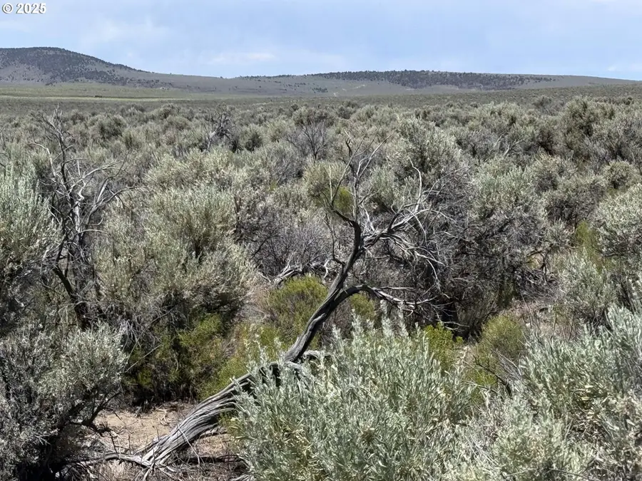 Butte Valley Road #500, Silver Lake Fort Rock, OR 97641 - Image #2