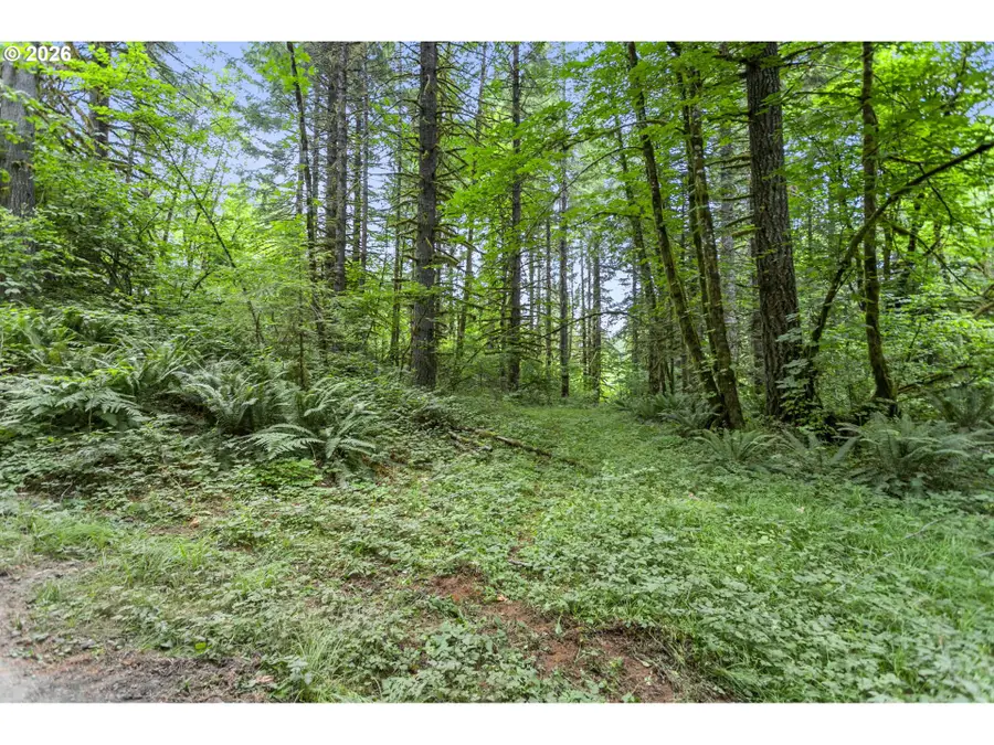 56570 NW Strassel Rd, Forest Grove, OR 97116 - #3