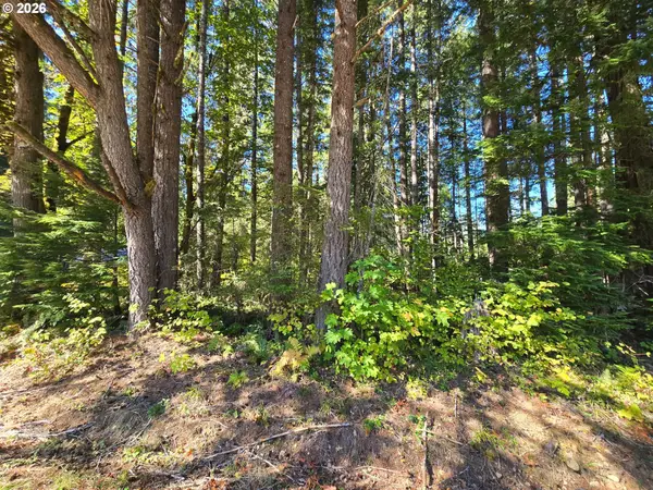 1655144007400, McKenzieBridge, OR 97413