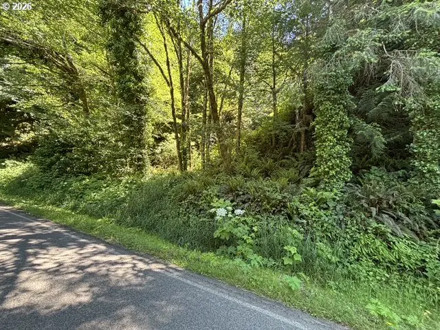 Sweet Creek Road, Mapleton, OR 97453 - #2