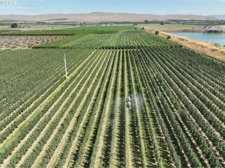 281 Lateral C Rd, Wapato, WA 98951 - Image #2