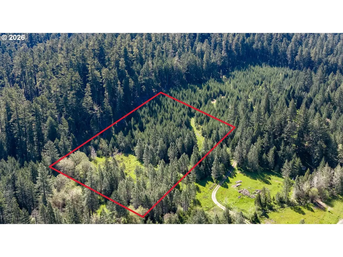 Berry Creek Rd, Winston, OR 97496 - #1