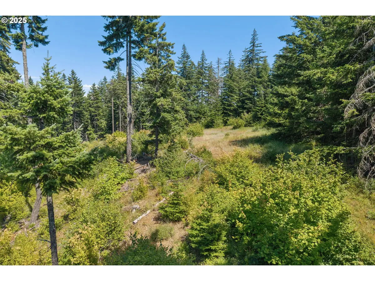 15 Brookside Dr, White Salmon, WA 98672 - #1