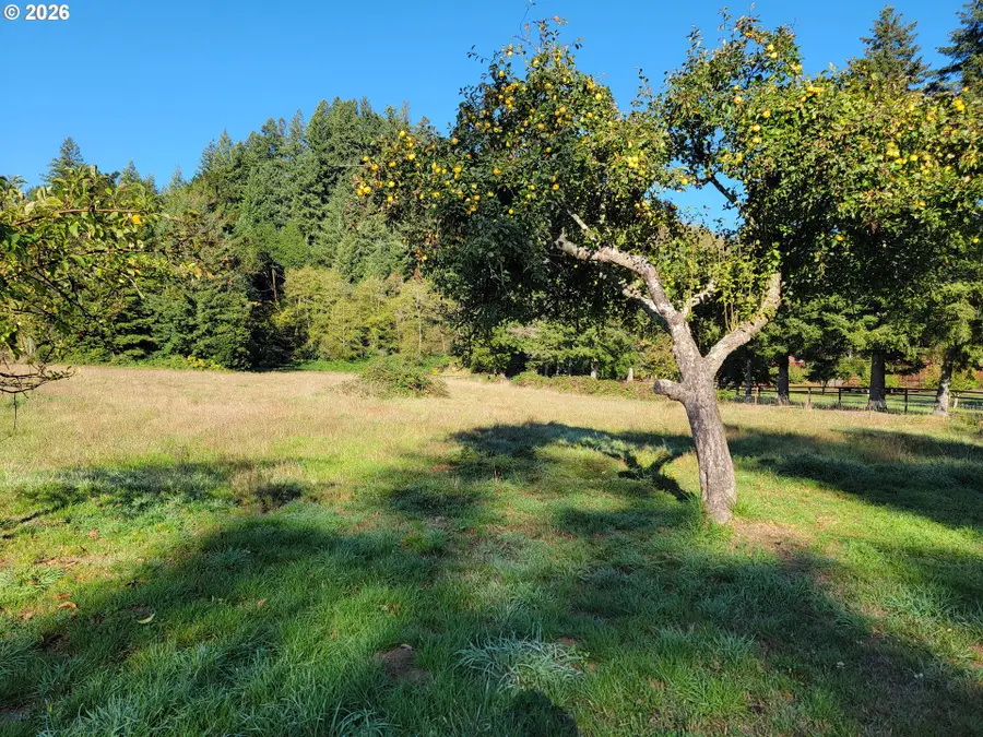 99616 Srs Rd, Brookings, OR 97415 - #2