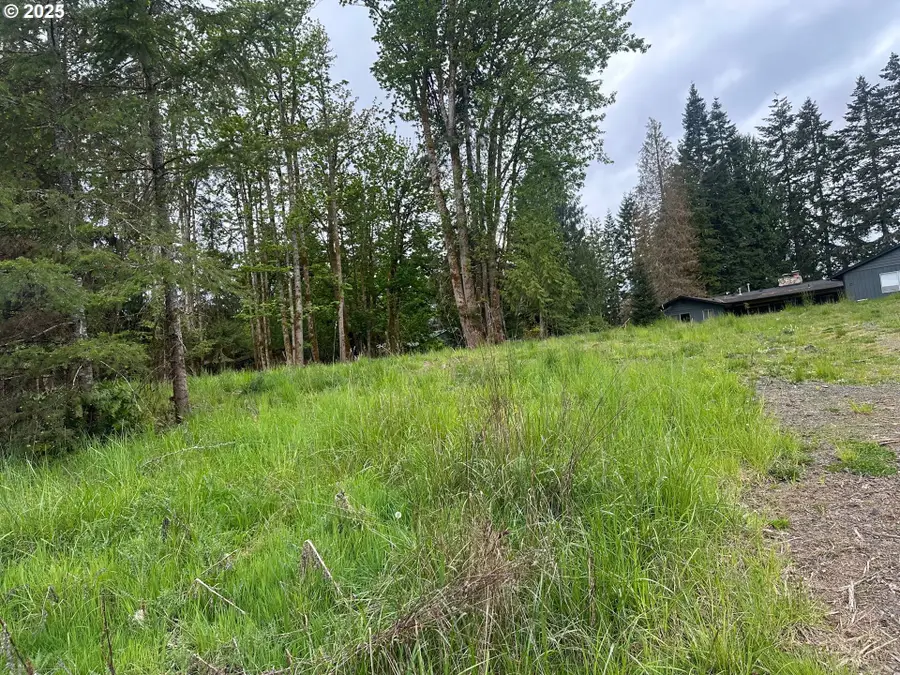 Oregon Tax Id 436205 Ave, Vernonia, OR 97064 - Image #2