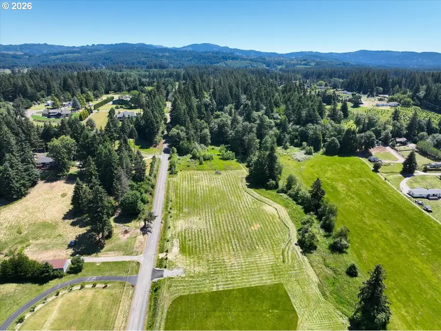 3 NE 144th St, Hockinson, WA 98606 - #3
