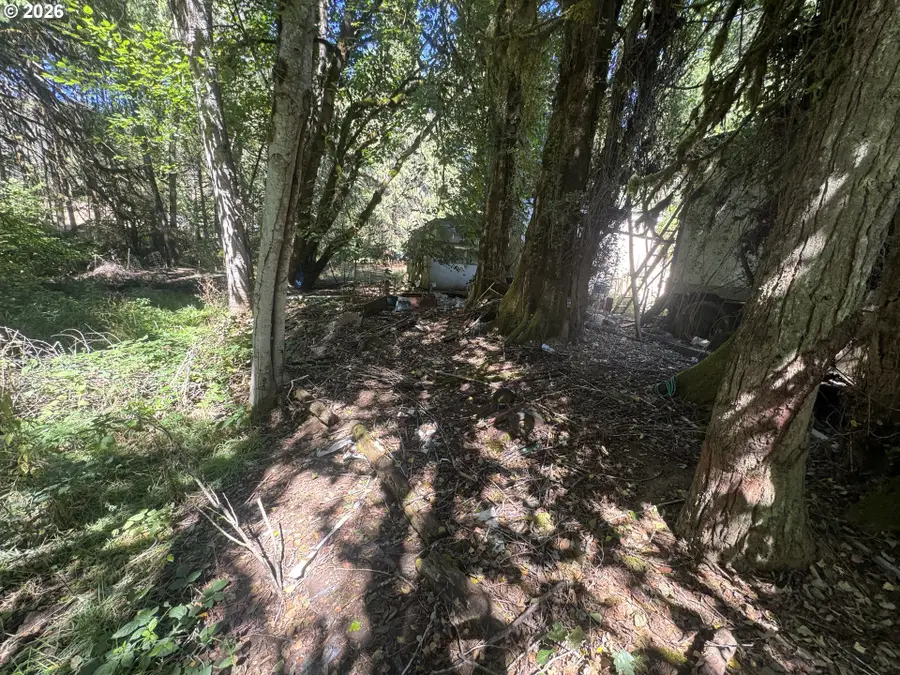718 Lees Creek Rd, Myrtle Creek Riddle, OR 97457 - #3