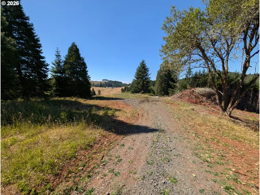 0 Fawn Ridge Dr, Oakland, OR 97462 - #3