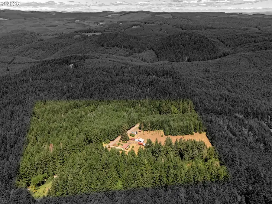 25420 NW Pumpkin Ridge Rd, North Plains, OR 97133 - Image #3