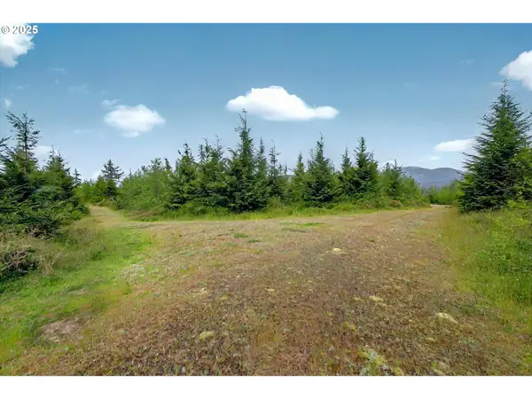 5 Parpala Rd #5, Naselle, WA 98638