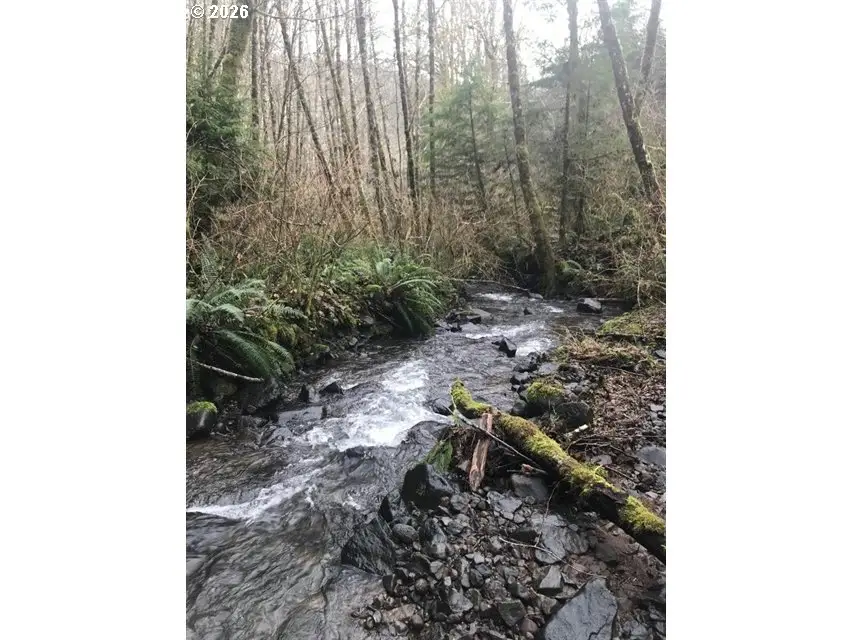 000 Alsea Hwy, Alsea, OR 97324 - #2