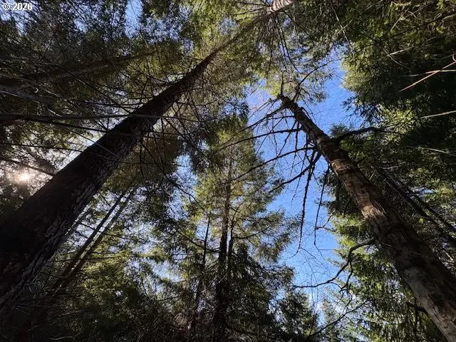 000 Alsea Hwy, Alsea, OR 97324 - #3