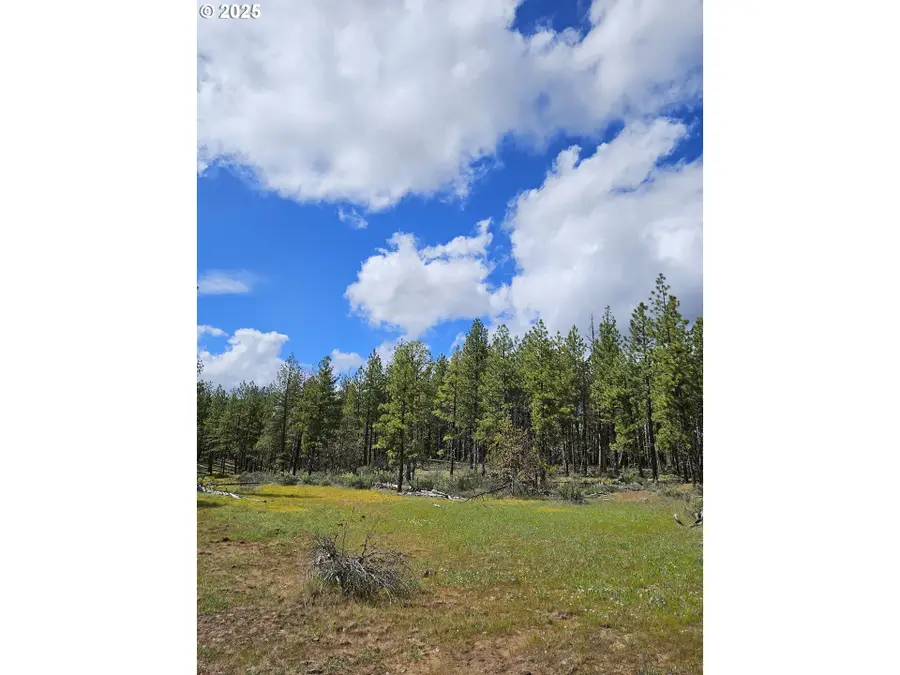 Lot 2 Hawks Wind, Goldendale, WA 98620 - Image #2