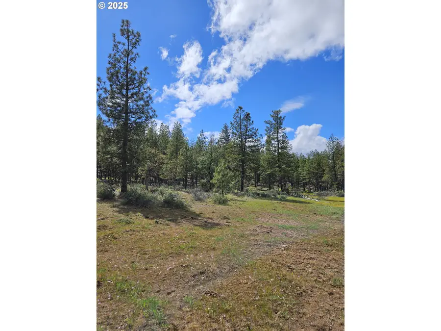 Lot 2 Hawks Wind, Goldendale, WA 98620 - Image #3