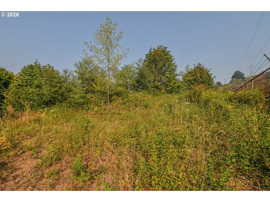Mclean Hill Rd, Clatskanie, OR 97016 - #3