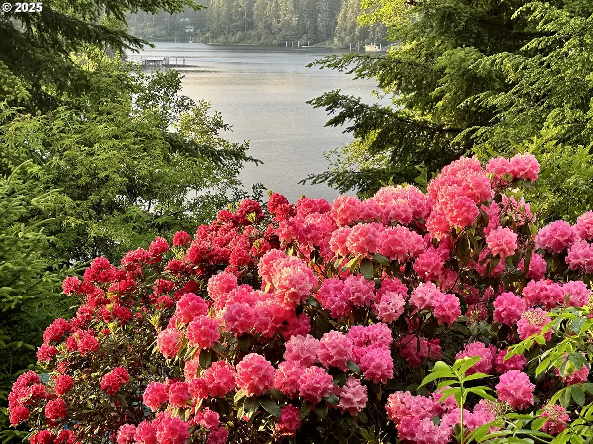 3196 S Tenmile, Lakeside, OR 97449 - Image #1