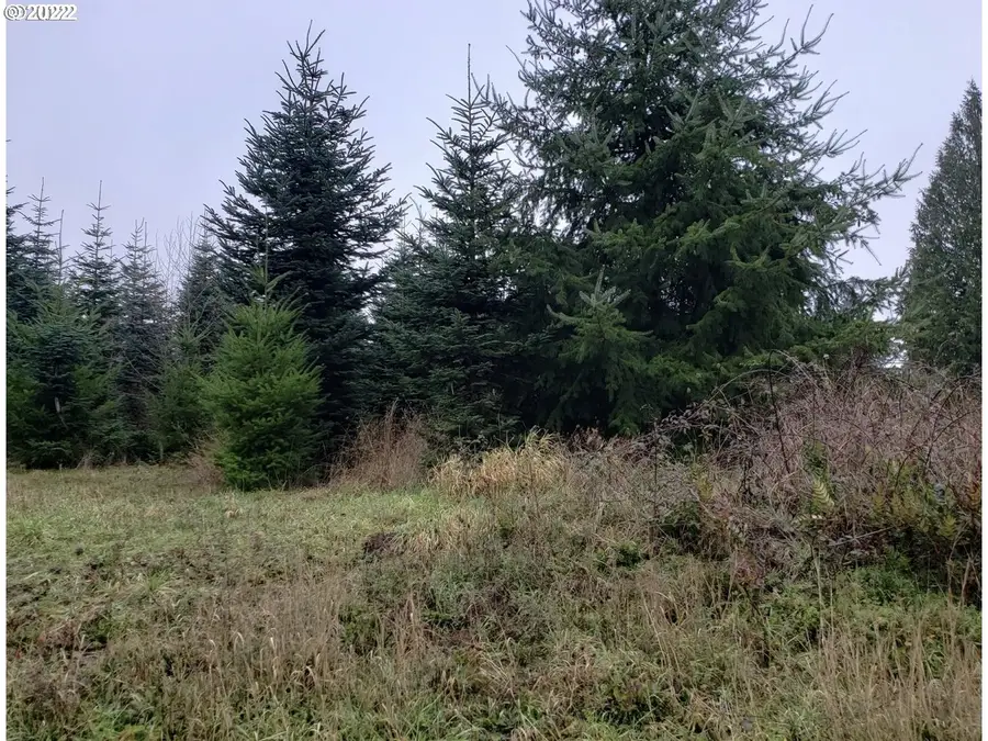 0000 Andy Thomas Rd, Rainier, OR 97048 - #3