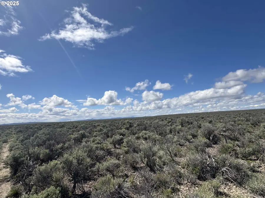 Lost Forest Ln #TL 400, Christmas Valley, OR 97641 - Image #2