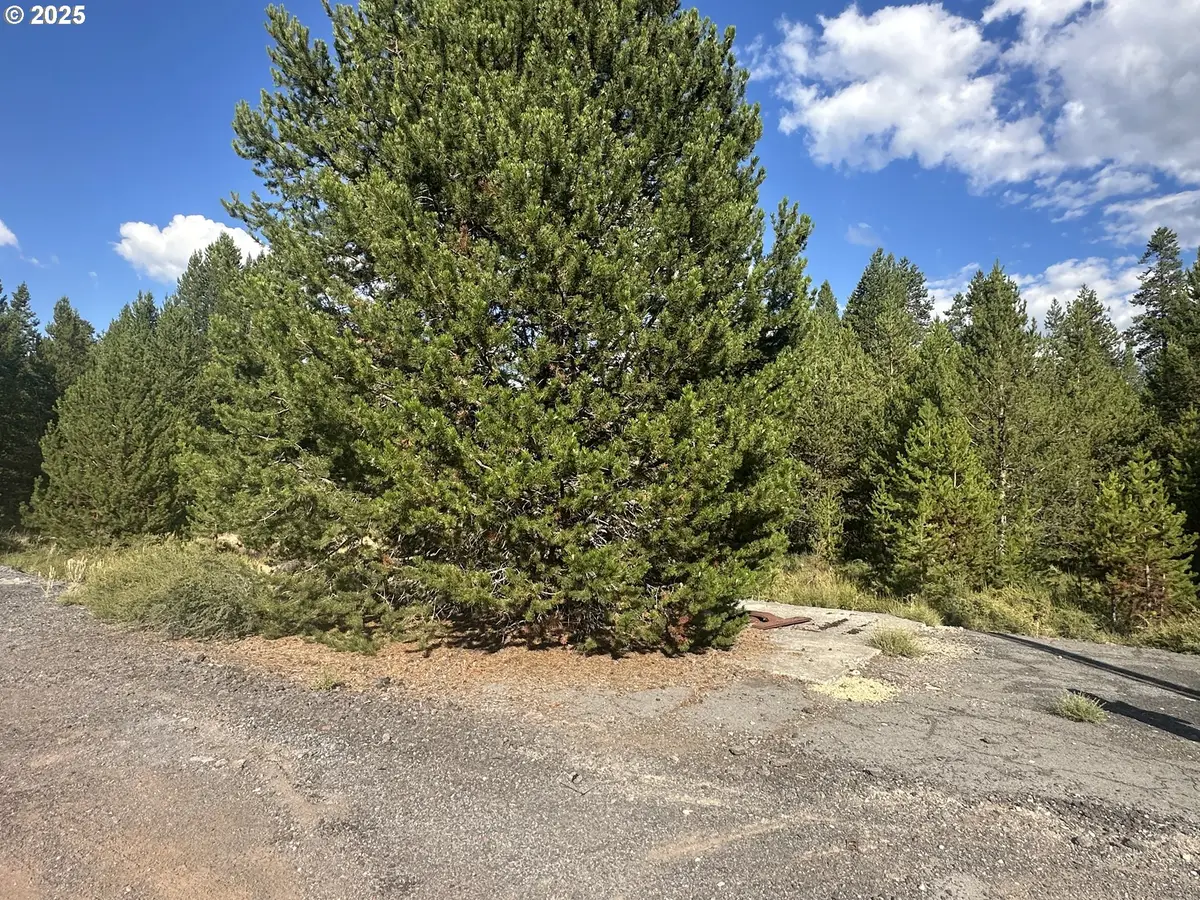 Hwy 97, Crescent, OR 97733 - Image #1