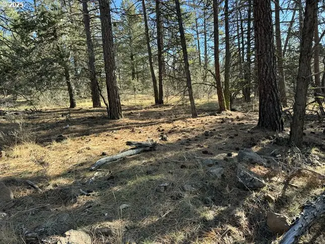 Bunting Drive #31, Bonanza, OR 97623 - Image #1