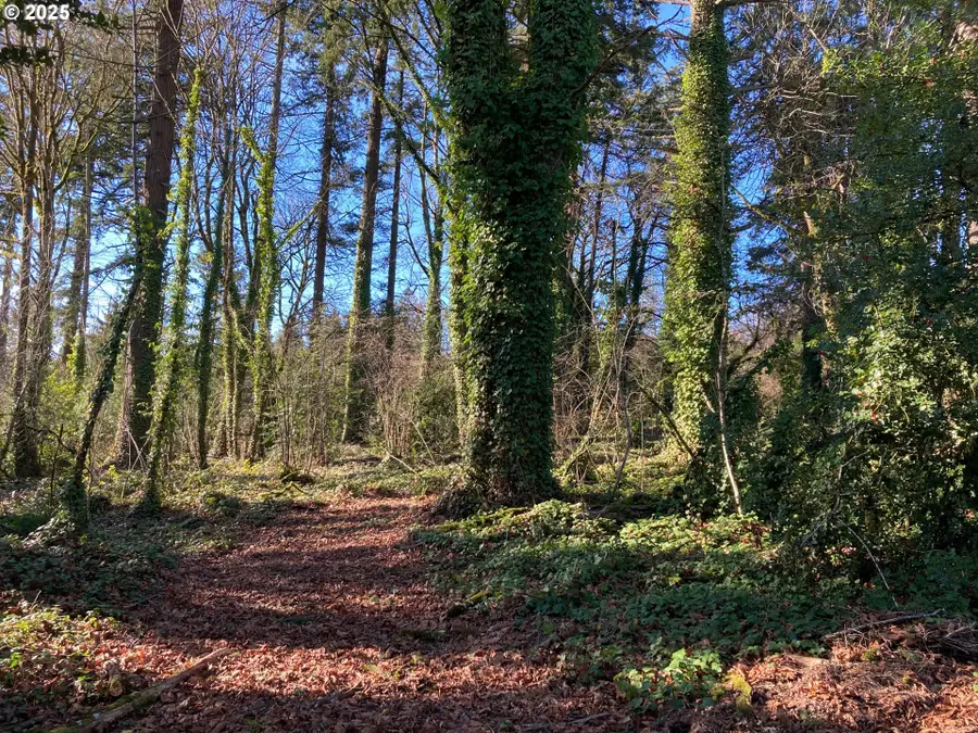 13882 Knaus Rd, Northwest Clackamas, OR 97034 - Image #2