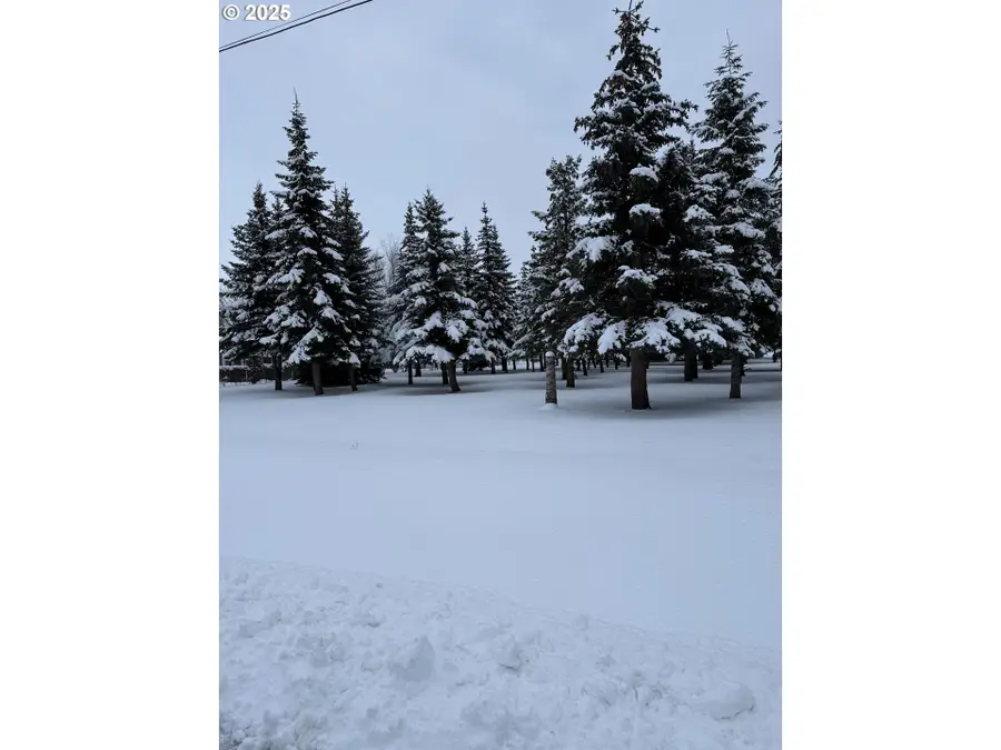 1018 Lake Ave., La Grande, OR 97850 - Image #3